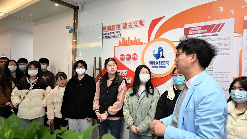 Shopify建站与自建站：费用对比背后的考量因素